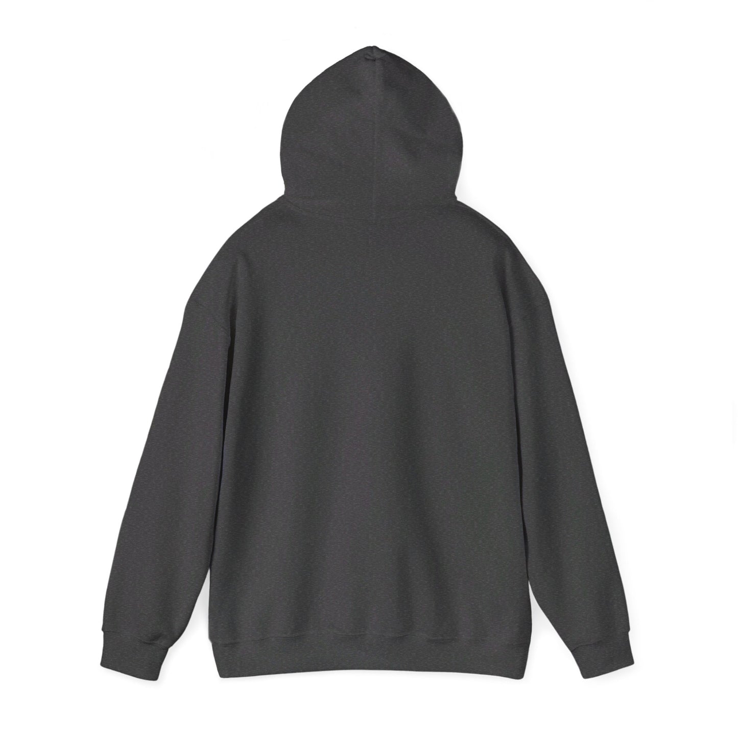 Unisex Heavy Blend™ Hooded Sweatshirt - Men