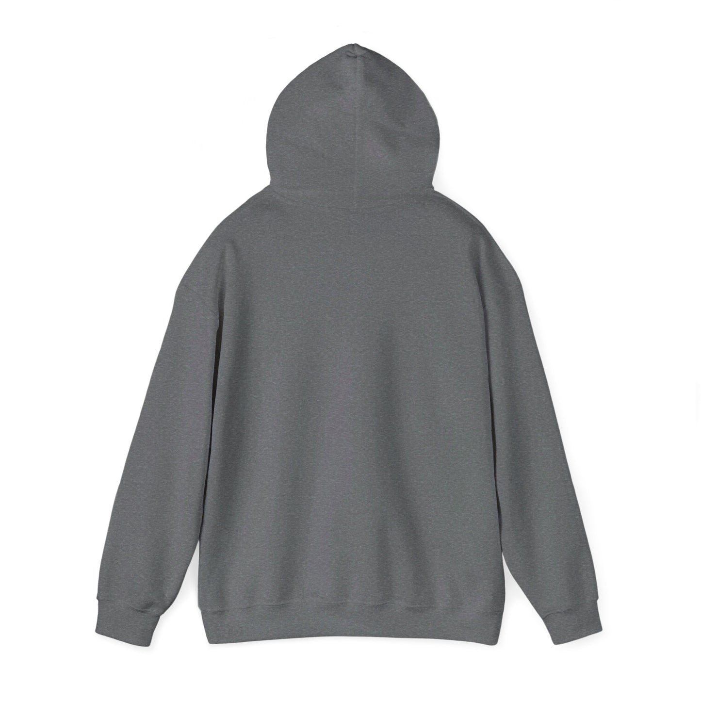 Unisex Heavy Blend™ Hooded Sweatshirt - Men